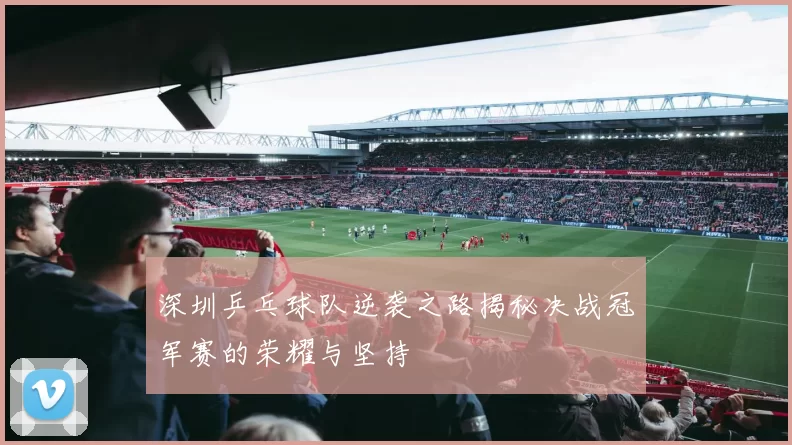 深圳乒乓球队逆袭之路揭秘决战冠军赛的荣耀与坚持