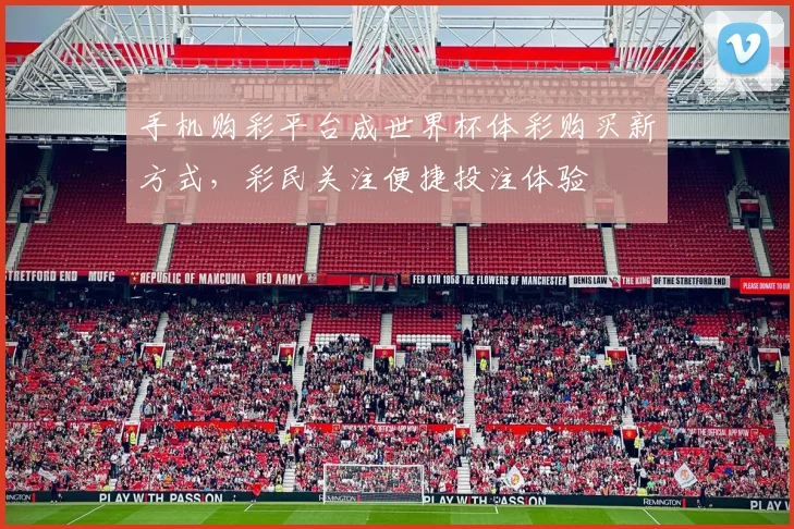 手机购彩平台成世界杯体彩购买新方式，彩民关注便捷投注体验