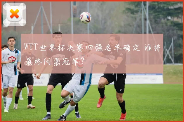 WTT世界杯决赛四强名单确定 谁将最终问鼎冠军？