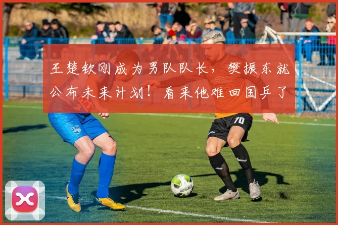 王楚钦刚成为男队队长，樊振东就公布未来计划！看来他难回国乒了