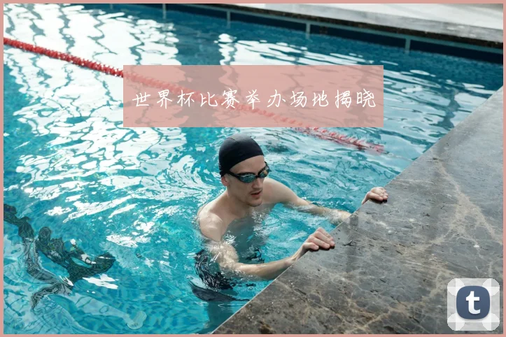 世界杯比赛举办场地揭晓