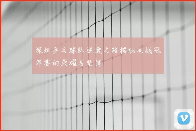深圳乒乓球队逆袭之路揭秘决战冠军赛的荣耀与坚持