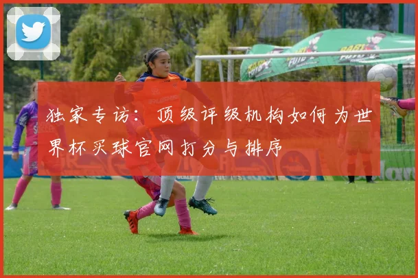 独家专访：顶级评级机构如何为世界杯买球官网打分与排序