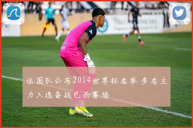 法国队公布2014世界杯名单 多名主力入选备战巴西赛场