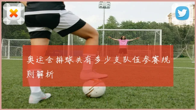 奥运会排球共有多少支队伍参赛规则解析
