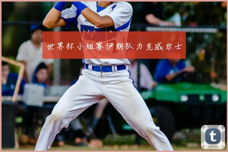 世界杯小组赛伊朗队力克威尔士