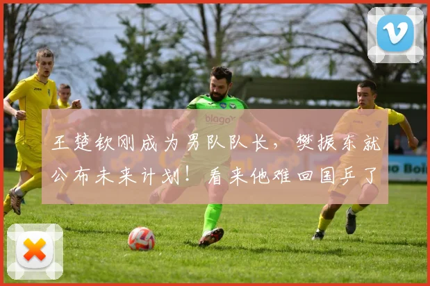 王楚钦刚成为男队队长,樊振东就公布未来计划!看来他难回国乒了