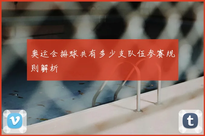 奥运会排球共有多少支队伍参赛规则解析