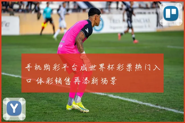 手机购彩平台成世界杯彩票热门入口 体彩销售再添新场景
