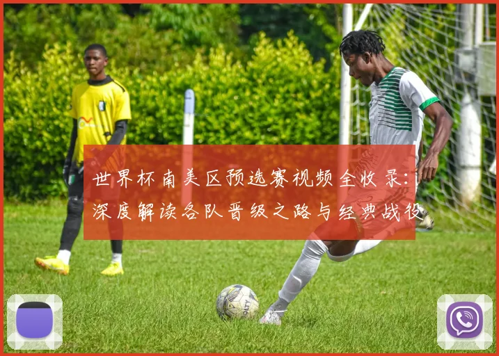 世界杯南美区预选赛视频全收录：深度解读各队晋级之路与经典战役