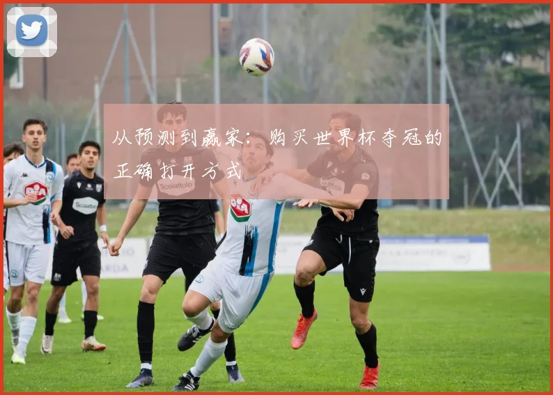 从预测到赢家：购买世界杯夺冠的正确打开方式